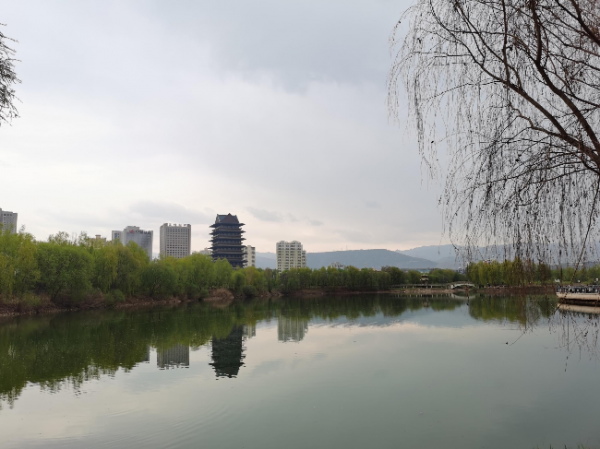 蘭州銀灘黃河濕地公園。新甘肅·甘肅日報(bào)記者杜雪琴攝.jpg